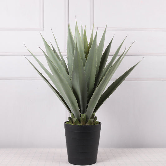 Artificial Golden Agave Plants | Agave Americana Variegata