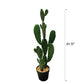 Artificial Cactus Green Rabbit Ear Multibranched