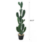 Artificial Cactus Green Rabbit Ear Multibranched