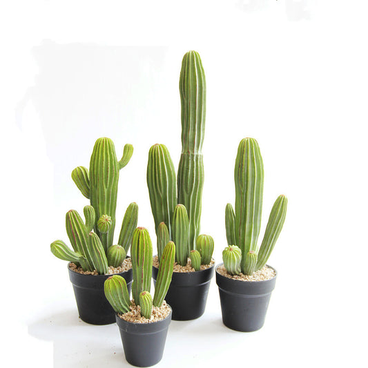 Artificial Pachycereus Pringlei Cactus With Pot