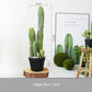 Artificial Pachycereus Pringlei Cactus With Pot