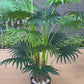 Artificial Livistona Chinensis Palm Bonsai Tree With Pot