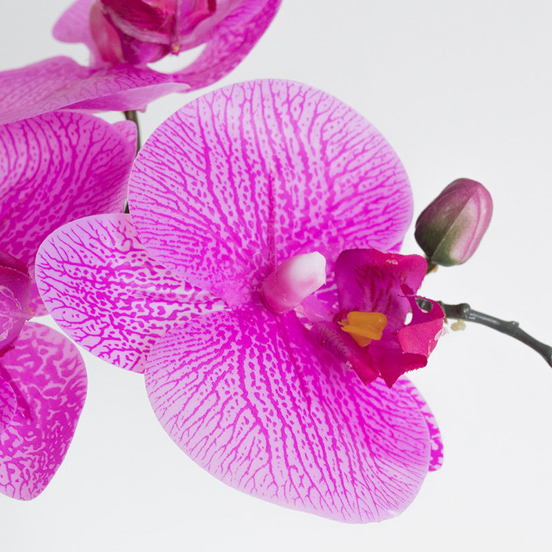 Moth Orchid Silk Artificial Flowers Phalaenopsis 2pcs