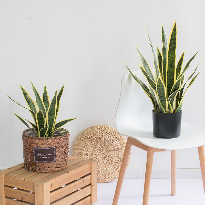 Artificial Snake Plants (Sansevieria Trifasciata) Floor Foliage Plant in Planter